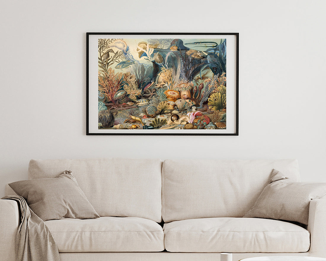 James M. Sommerville - Meeresleben