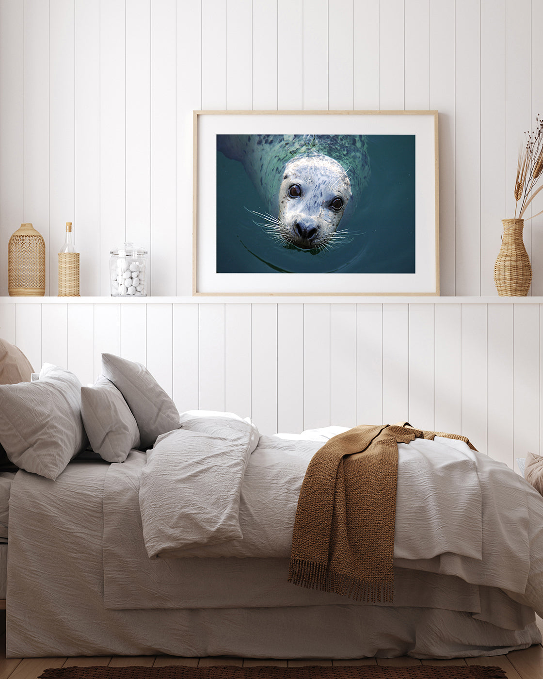 Seerobbe schaut aus dem Wasser