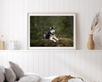 Husky im Wald