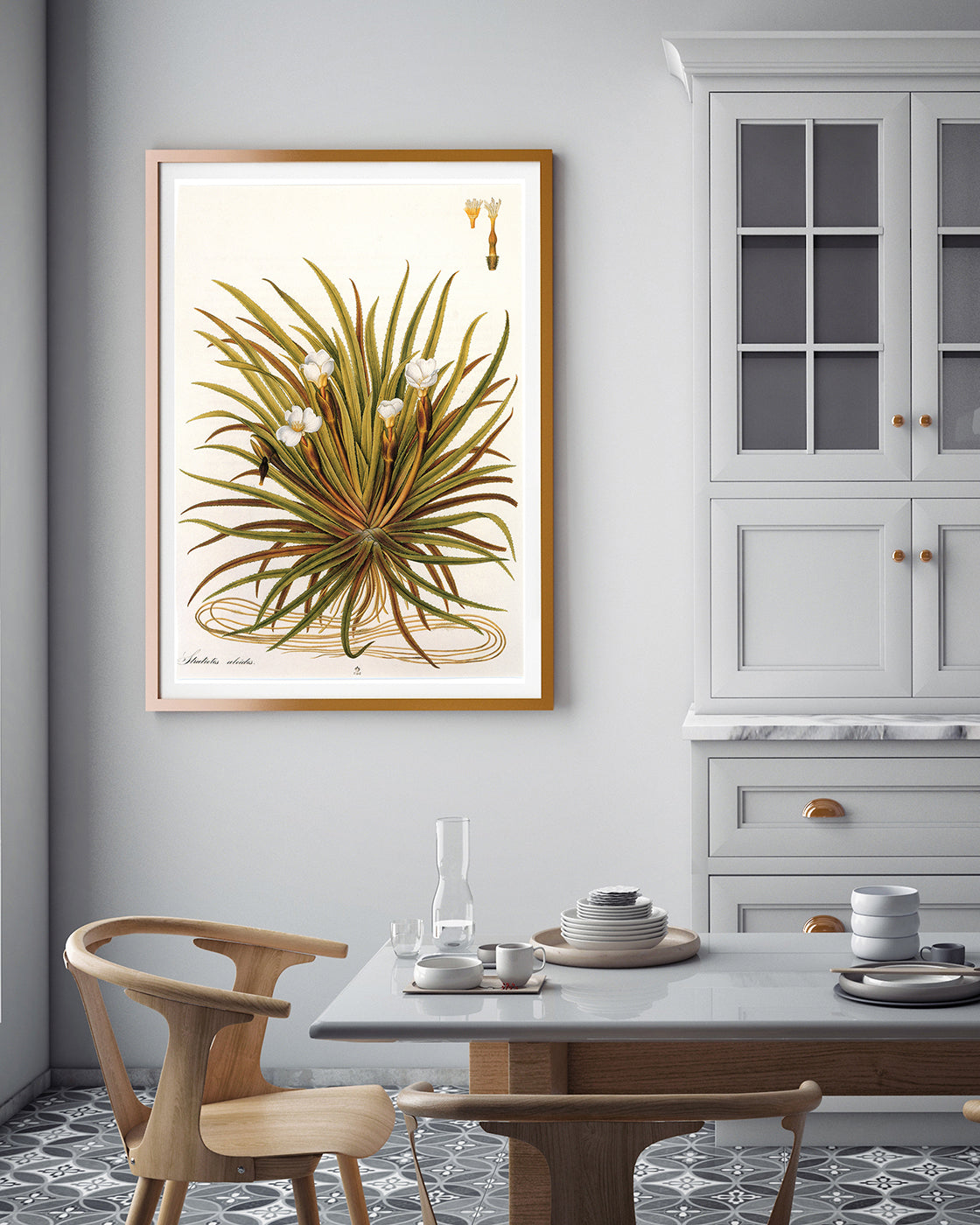 Stratiotes Aloides - Krebsschere