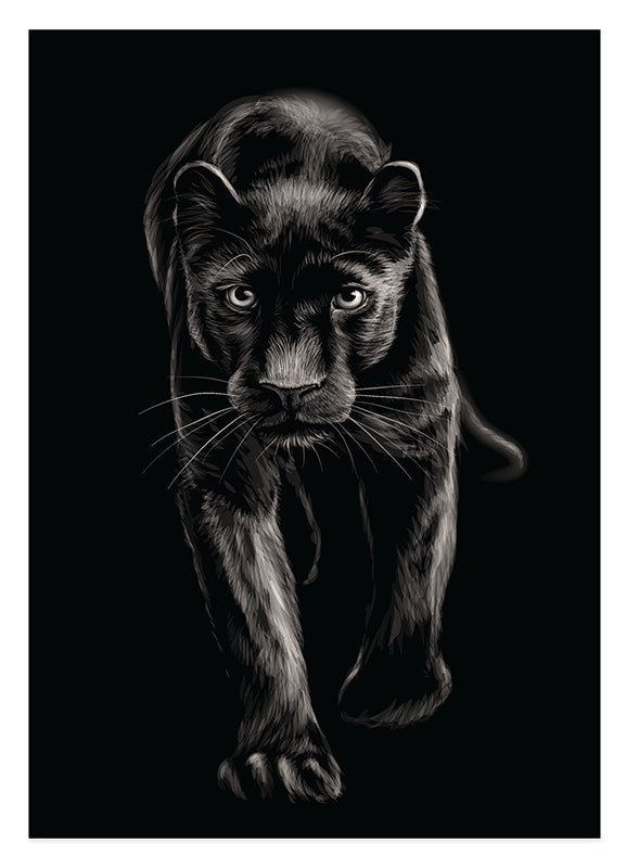 Schwarzer Panther Hover Image