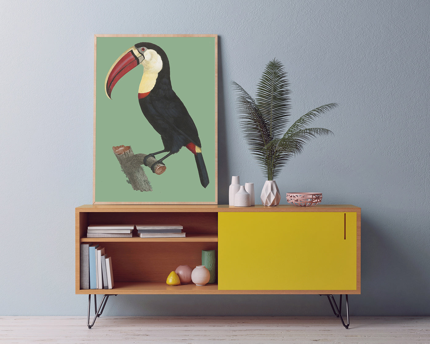 François Levaillant - Tukan auf grünem Hintergrund