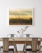 Sonnenstrahlen am Wald