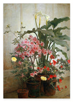 George Cochran Lambdin - Seite eines Gewächshauses