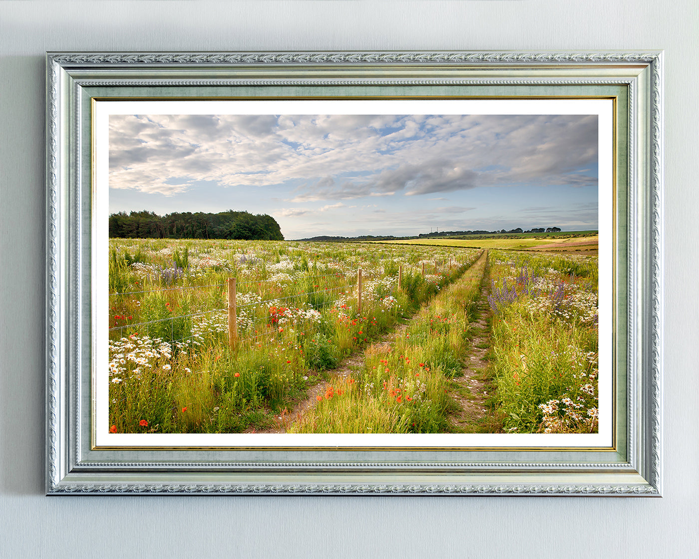 Weg auf einer Blumenwiese