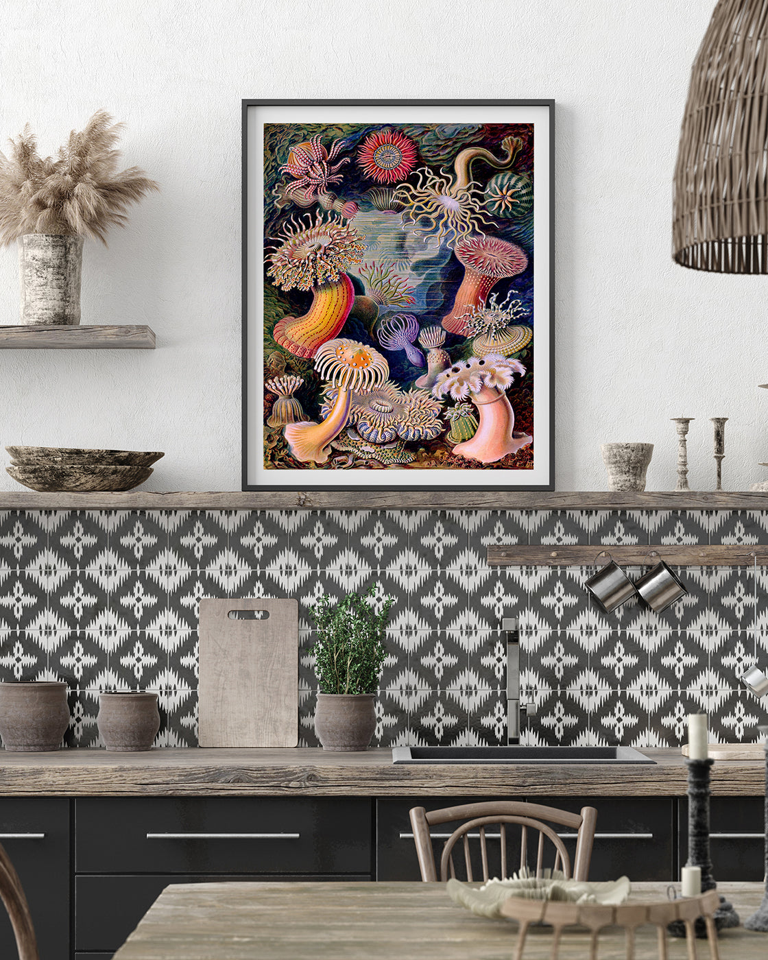 Ernst Haeckel - Anemonen