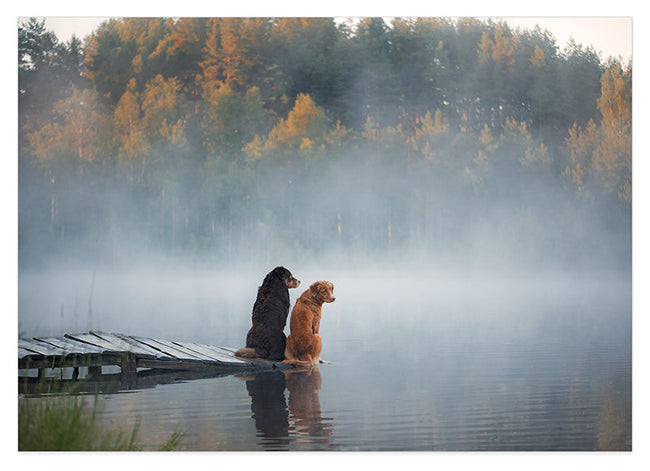 Hunde am See Hover Image
