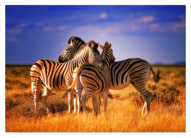 Zebra-Herde Hover Image