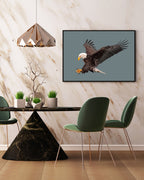 Fliegender Weißkopfseeadler