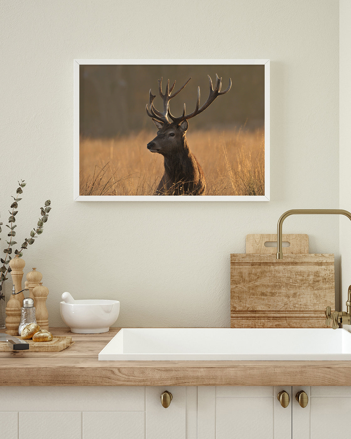 Hirsch im hohen Gras