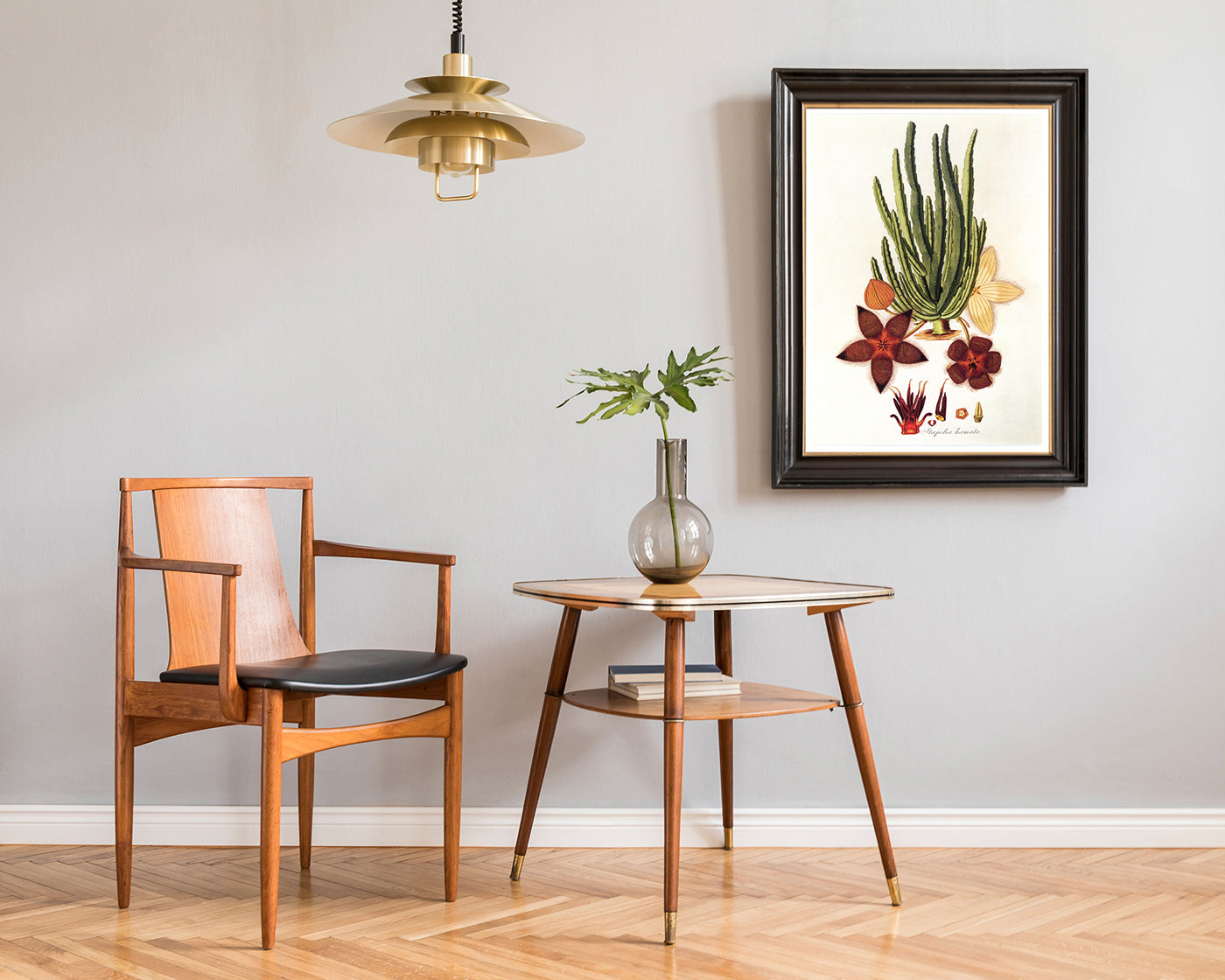 Stapelia Hircosa - Stapelien in Sternform