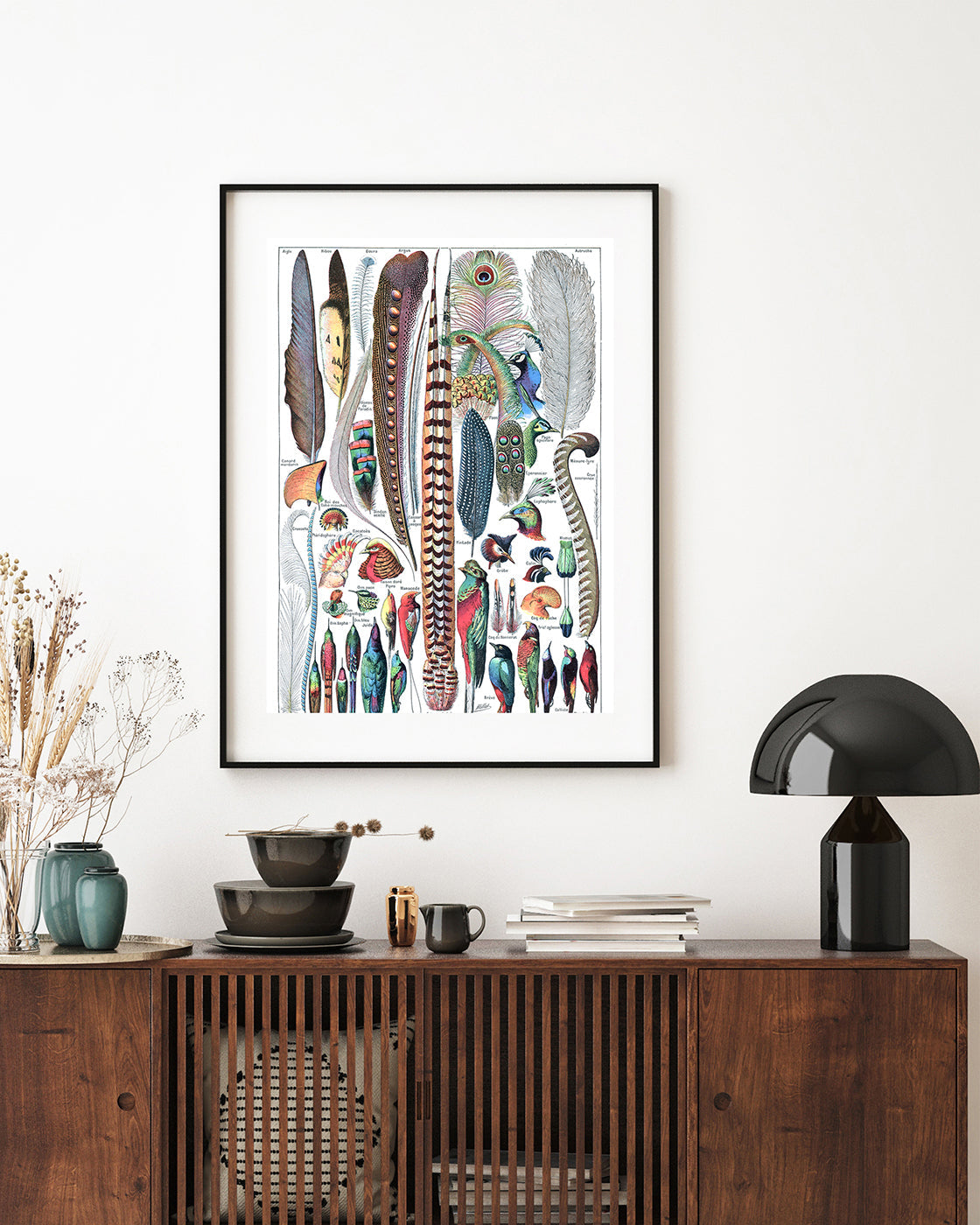 Adolphe Philippe Millot - Federn