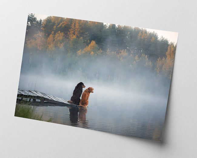 Hunde am See Main Image
