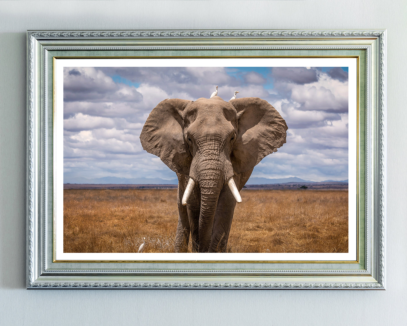 Afrikanischer Elefant