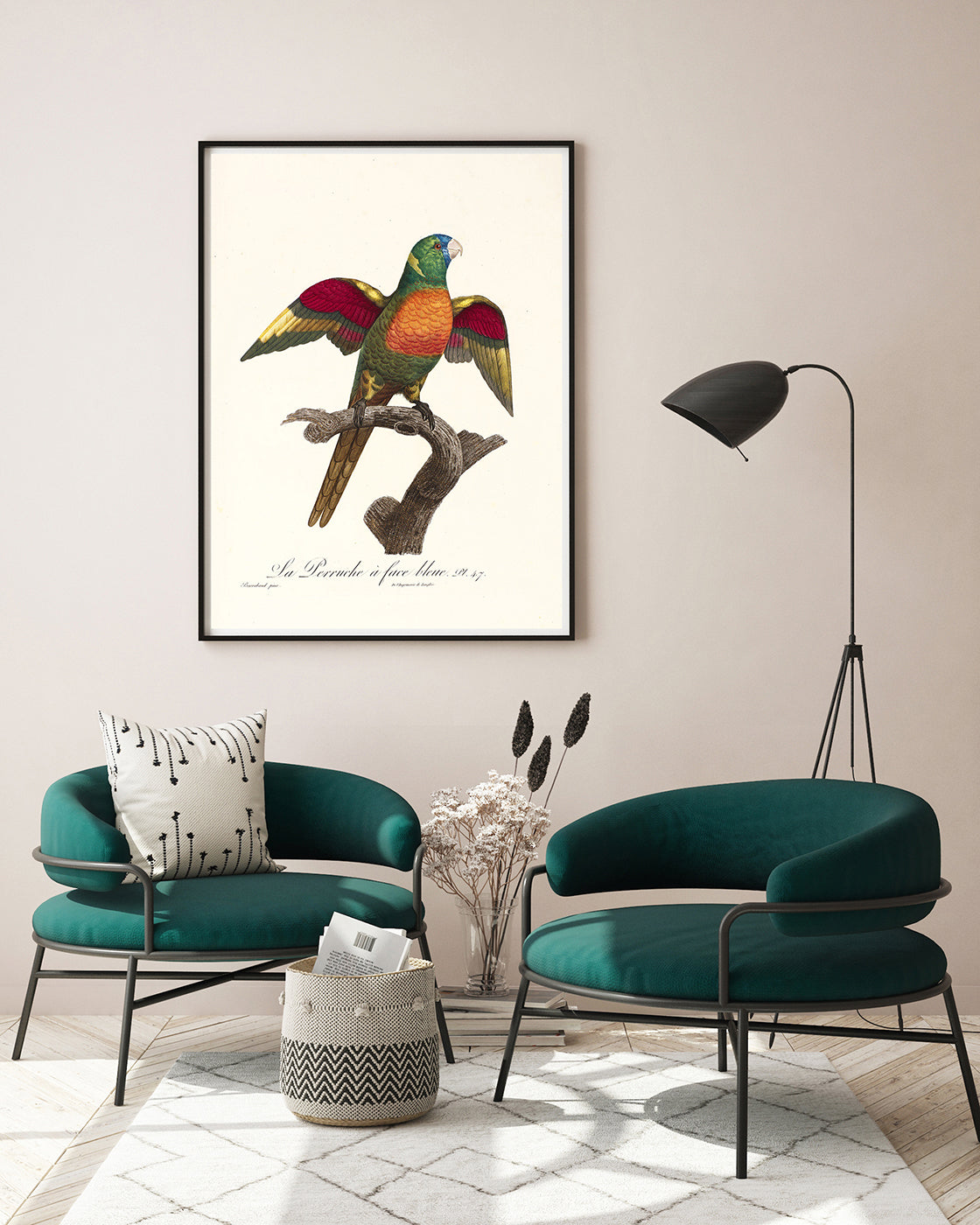 François Levaillant - Bunter Paradiesvogel