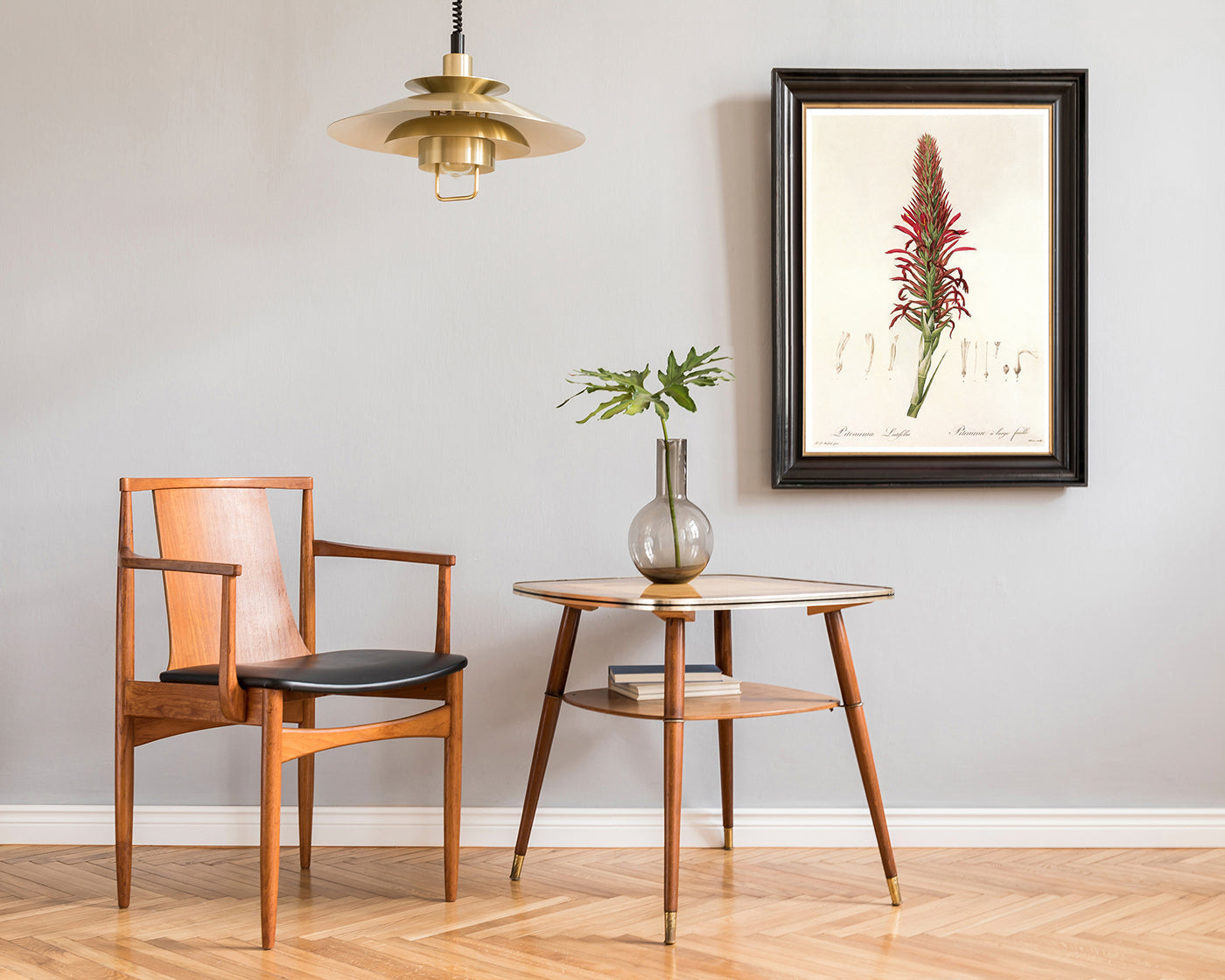 Pitcairnia - Pflanze mit roten Blüten