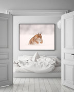 Springender Luchs im Schnee