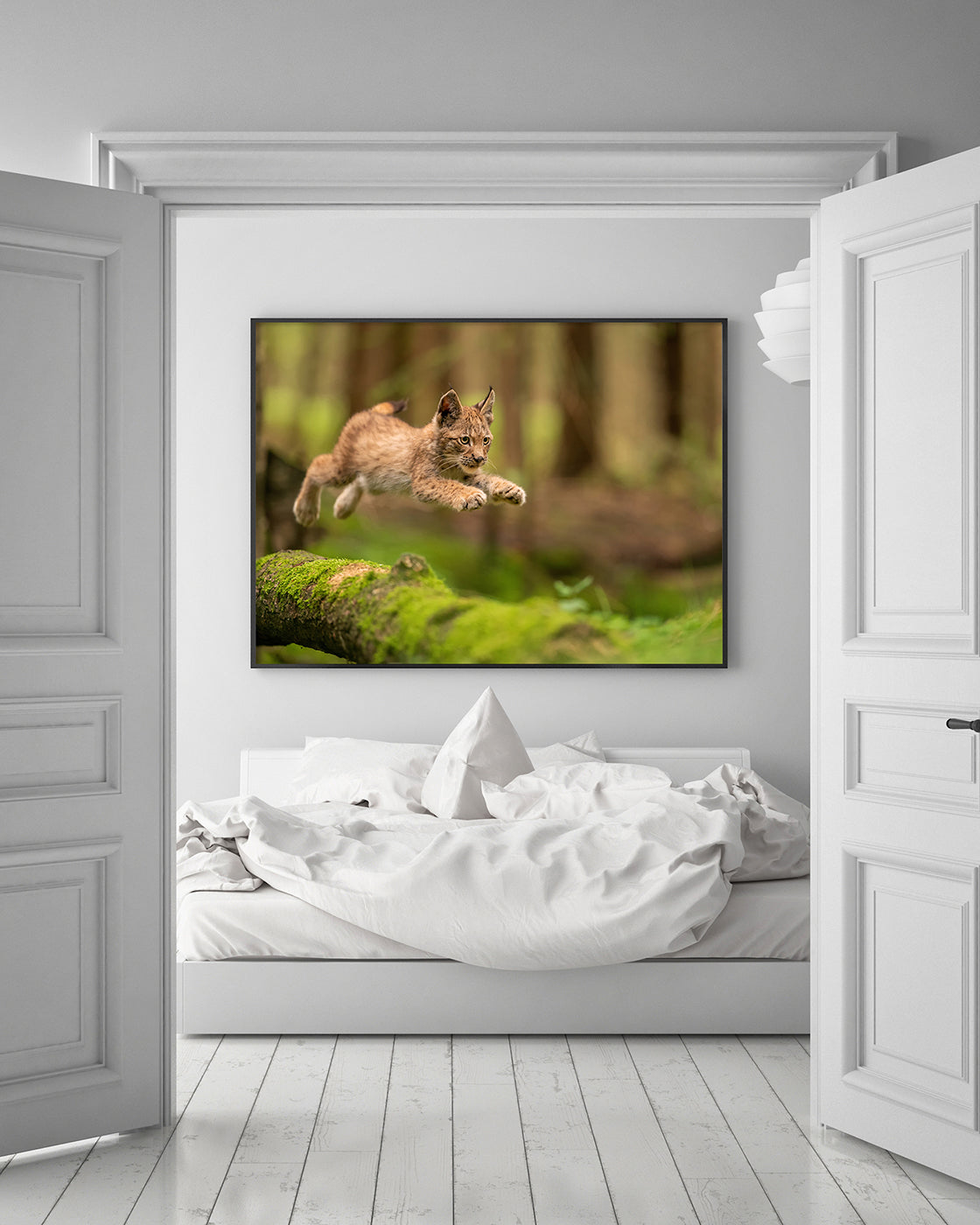 Springendes Luchs-Baby