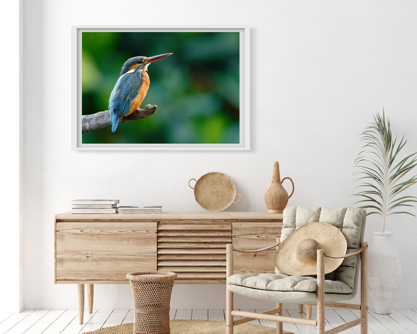 Eisvogel auf einem Ast