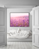 Flieder - Nahaufnahme