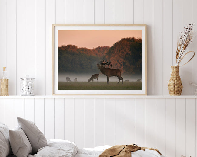 Röhrender Hirsch Main Image