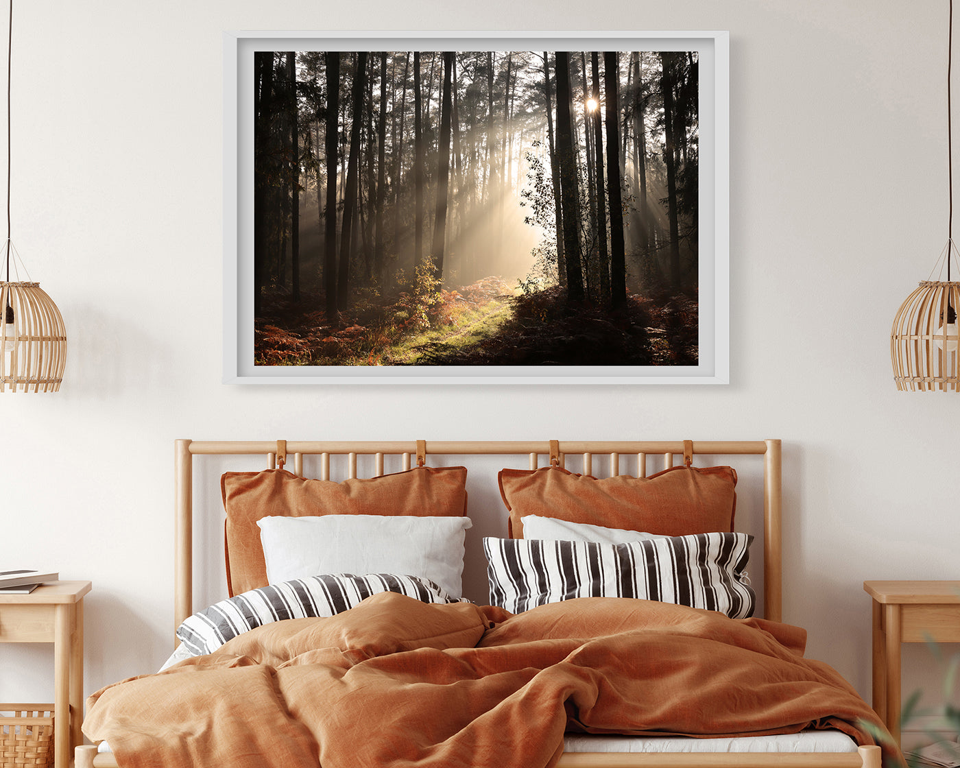 Sonnenstrahlen im Wald