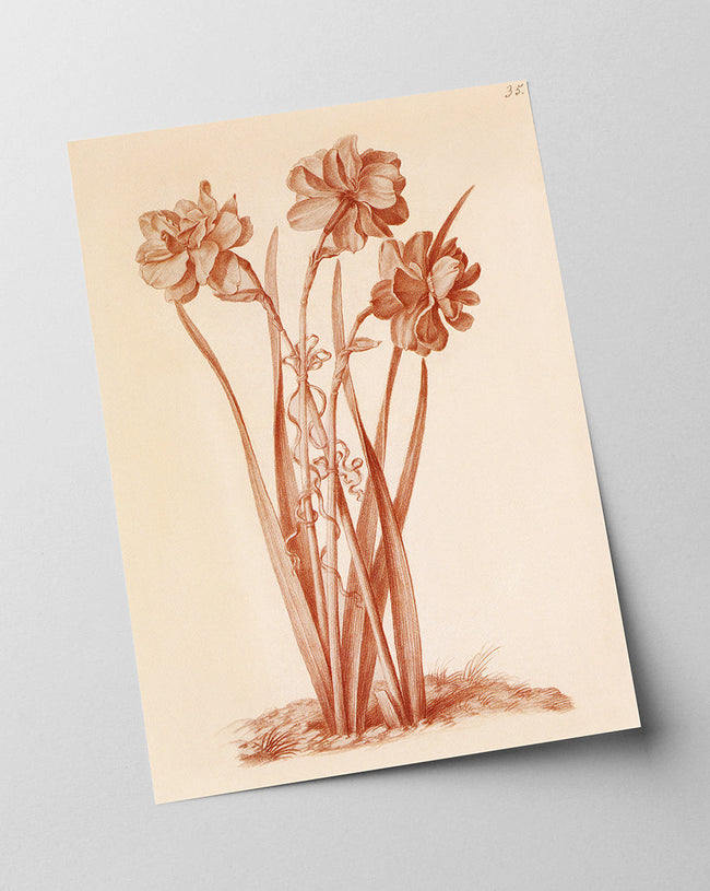 Blumenzeichnung Main Image