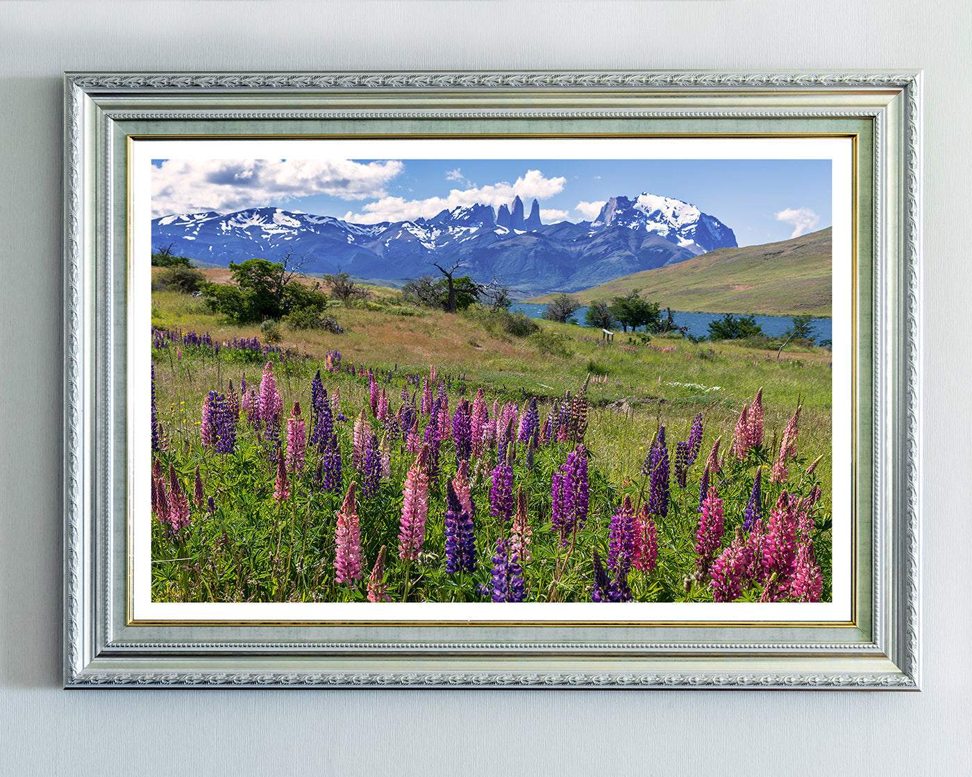 Bergwiese mit Blumen