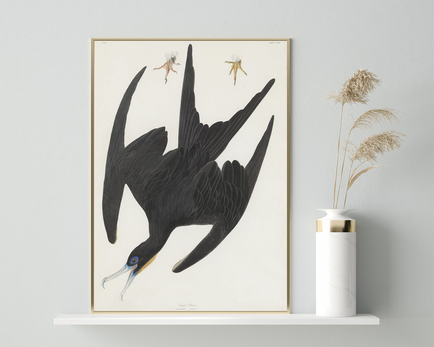 John James Audubon - Schwarzer Vogel im Sturzflug