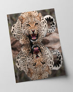 Fauchender Leopard