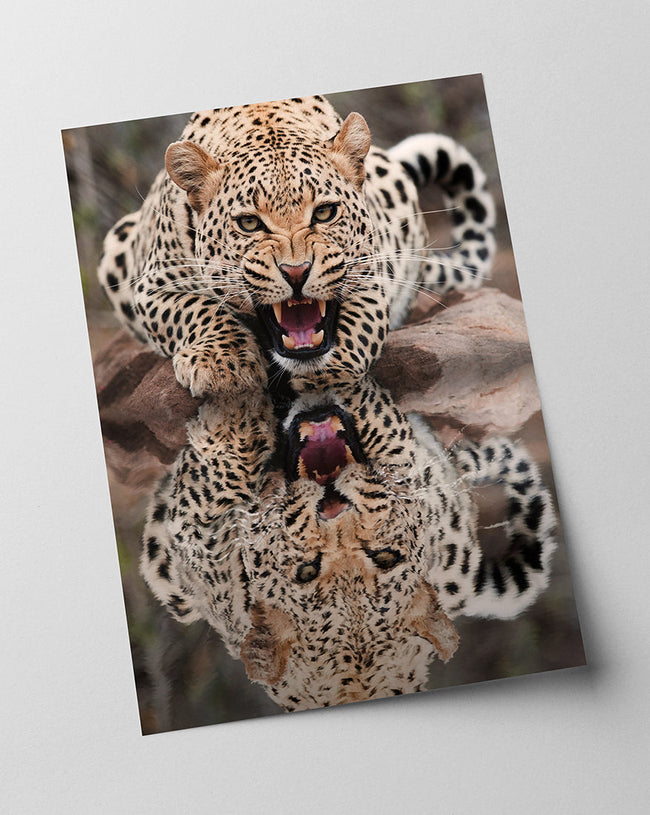 Fauchender Leopard Main Image