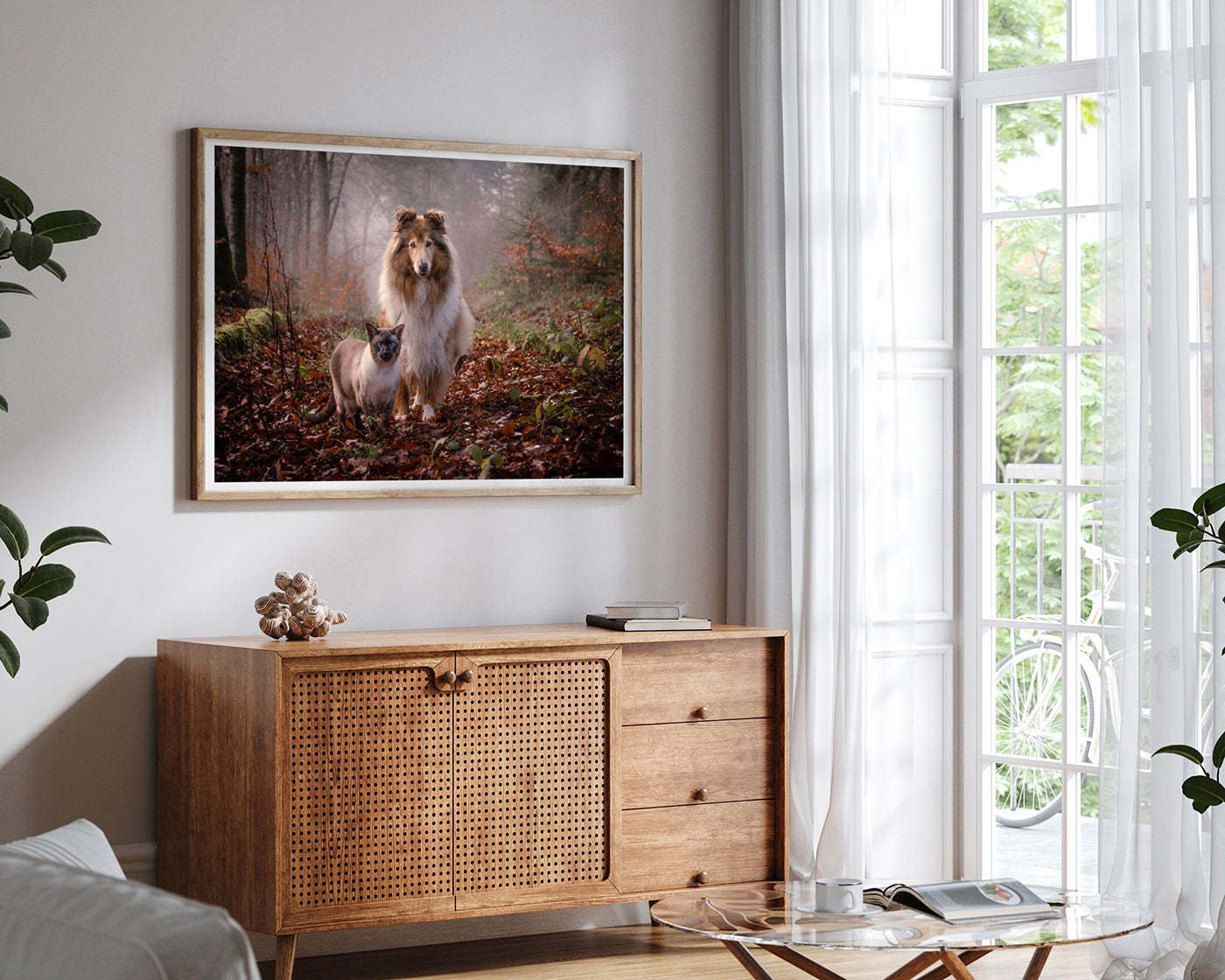 Katze und Hund in der Natur