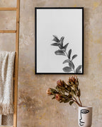 Zweig - Schwarz-Weiß