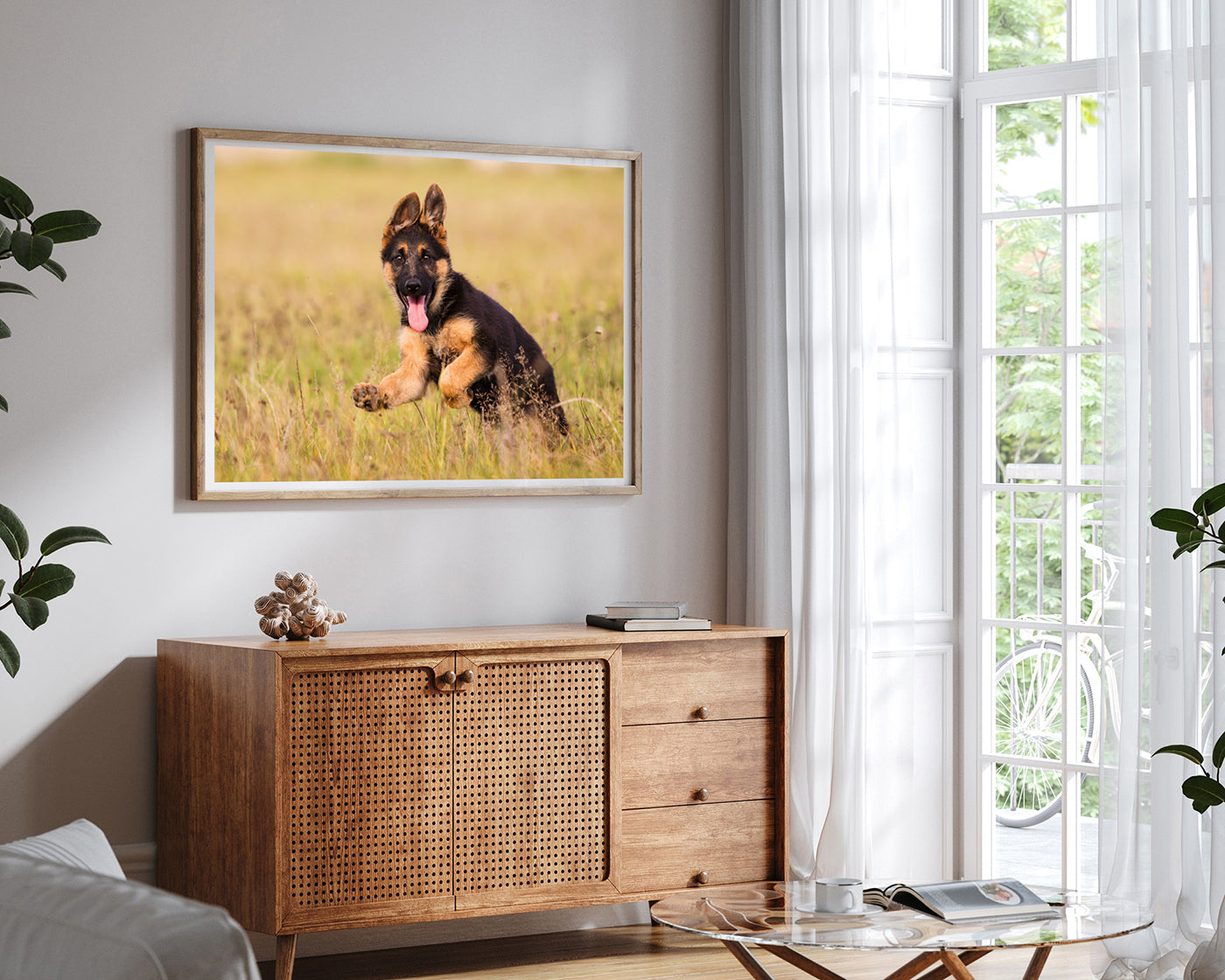 Süßer Schäferhund-Welpe