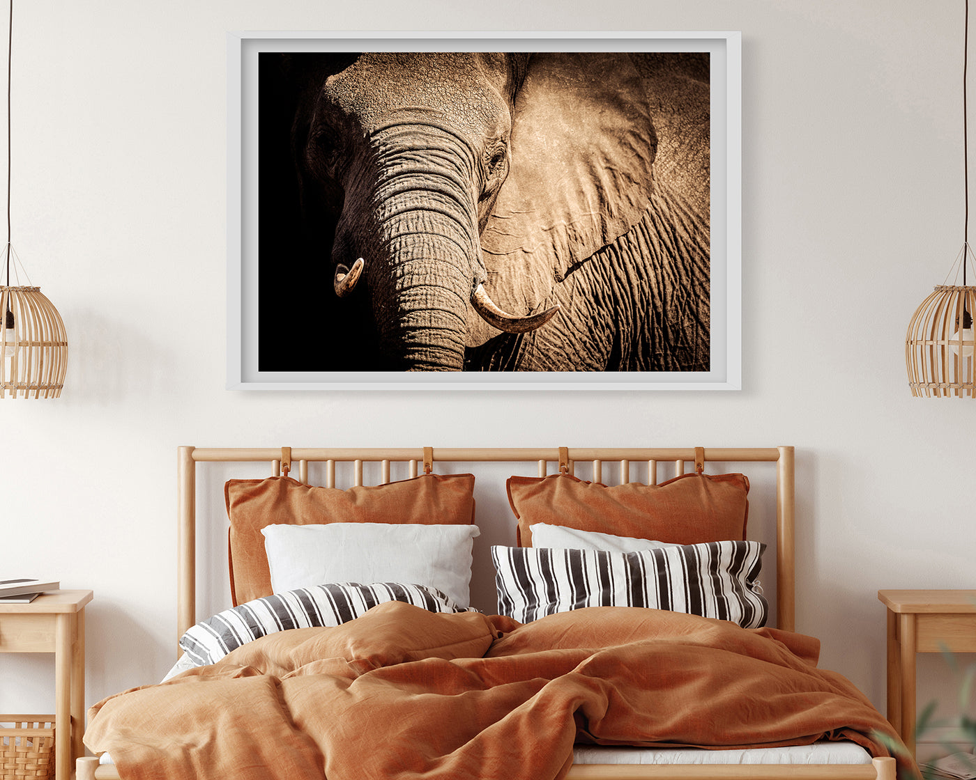 Elefant - Nahaufnahme