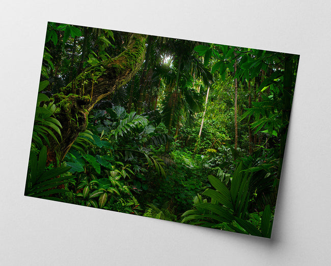 Regenwald Main Image