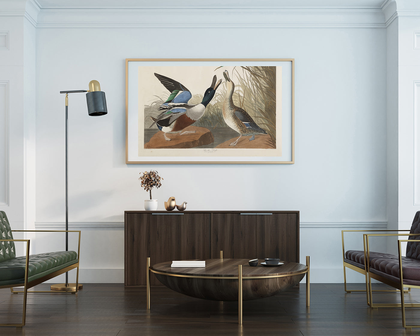 John James Audubon - Zwei Enten im Gefecht