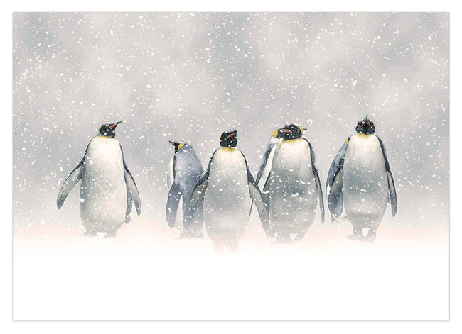 Pinguine im Schnee Hover Image