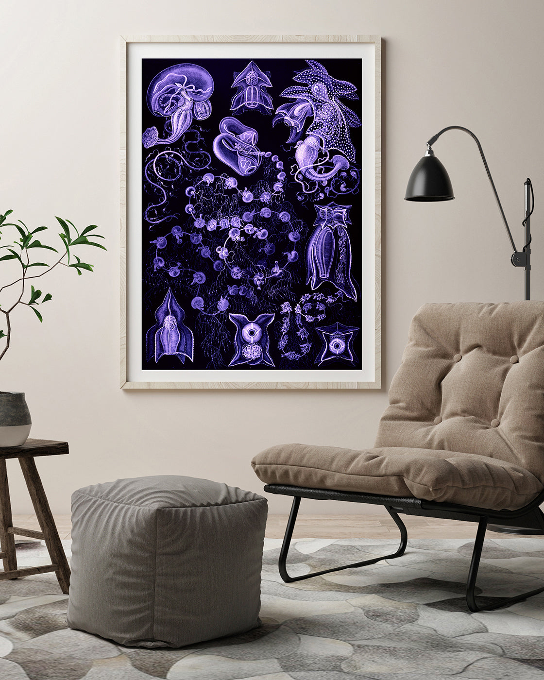 Ernst Haeckel - Kunstformen des Meeres in violett