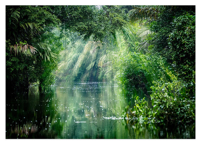 See im Wald Hover Image