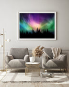 Polarlichter über Waldkronen