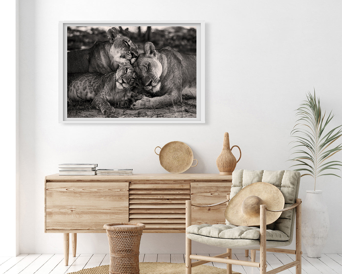 Kuschelnde Löwen in Schwarz-Weiß