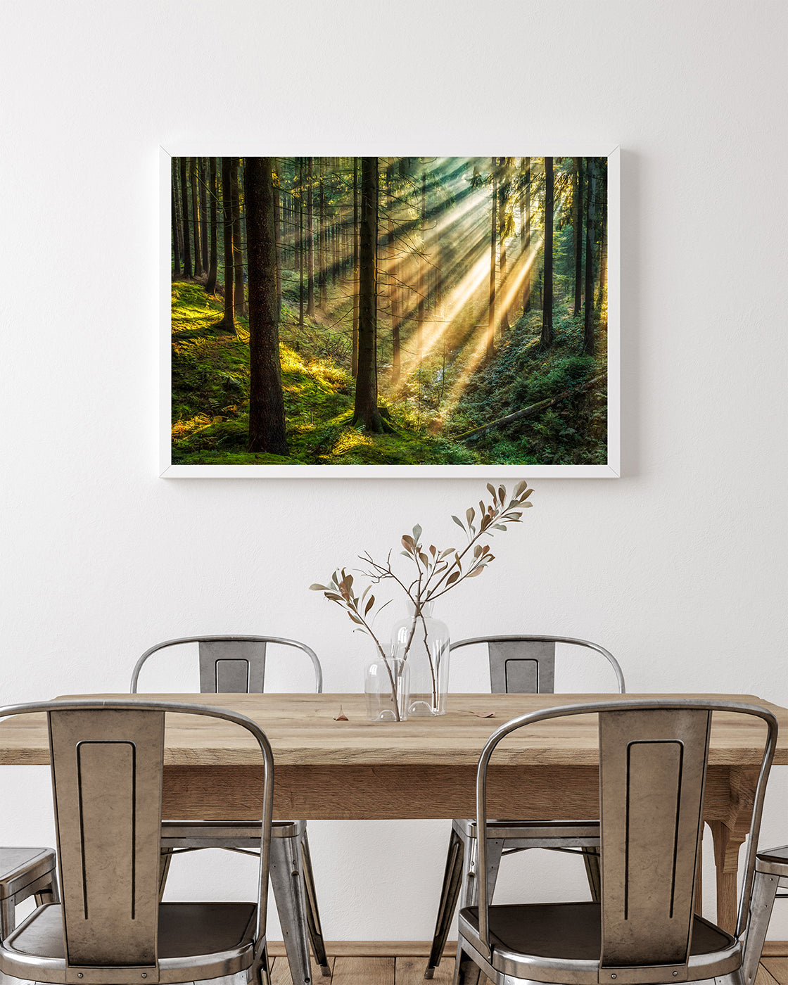 Sonnenstrahlen im Wald