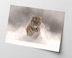 Springender Tiger im Schnee