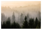 Bäume im Nebel