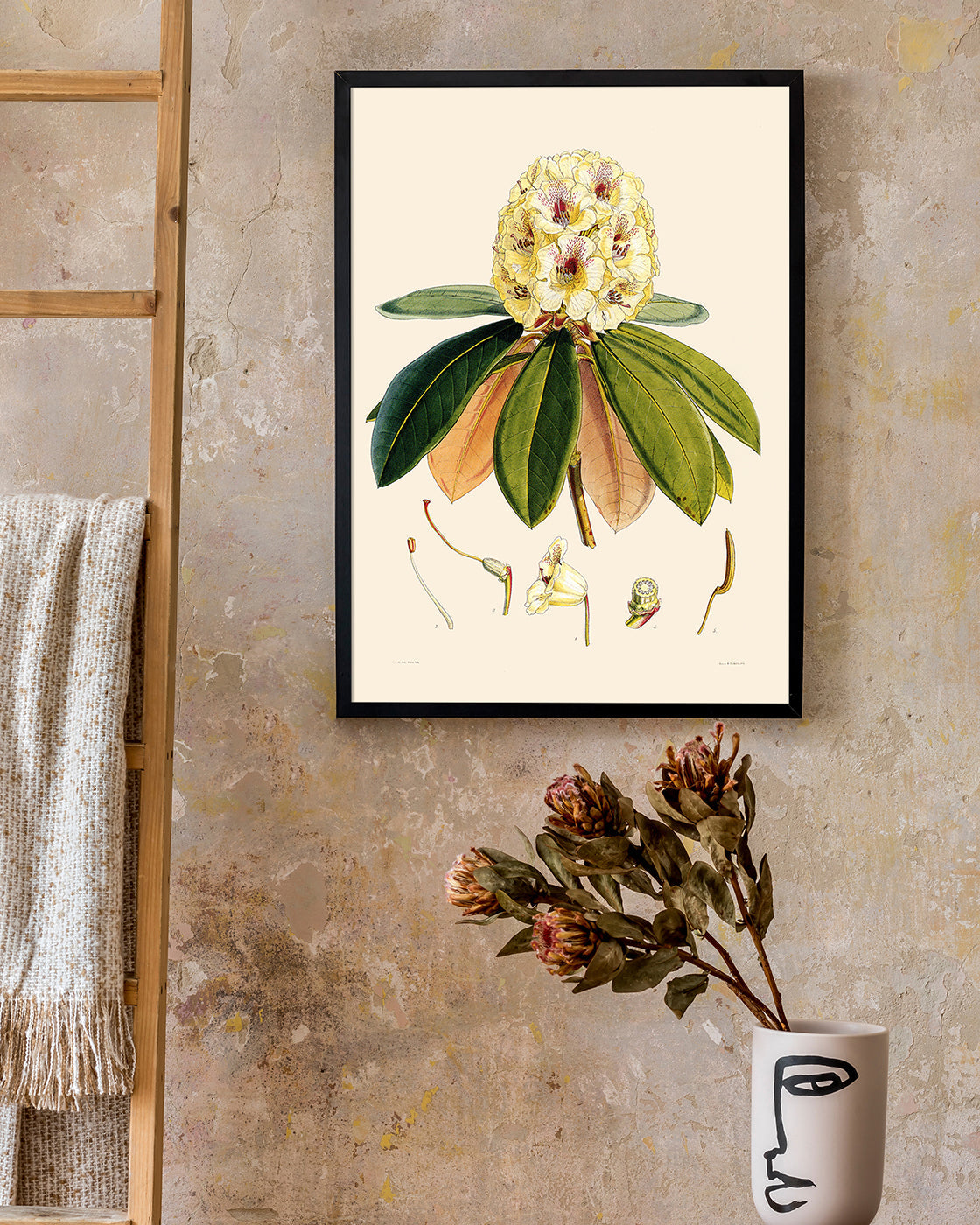 Weißer Rhododendron