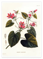 Zweig mit roten Blüten