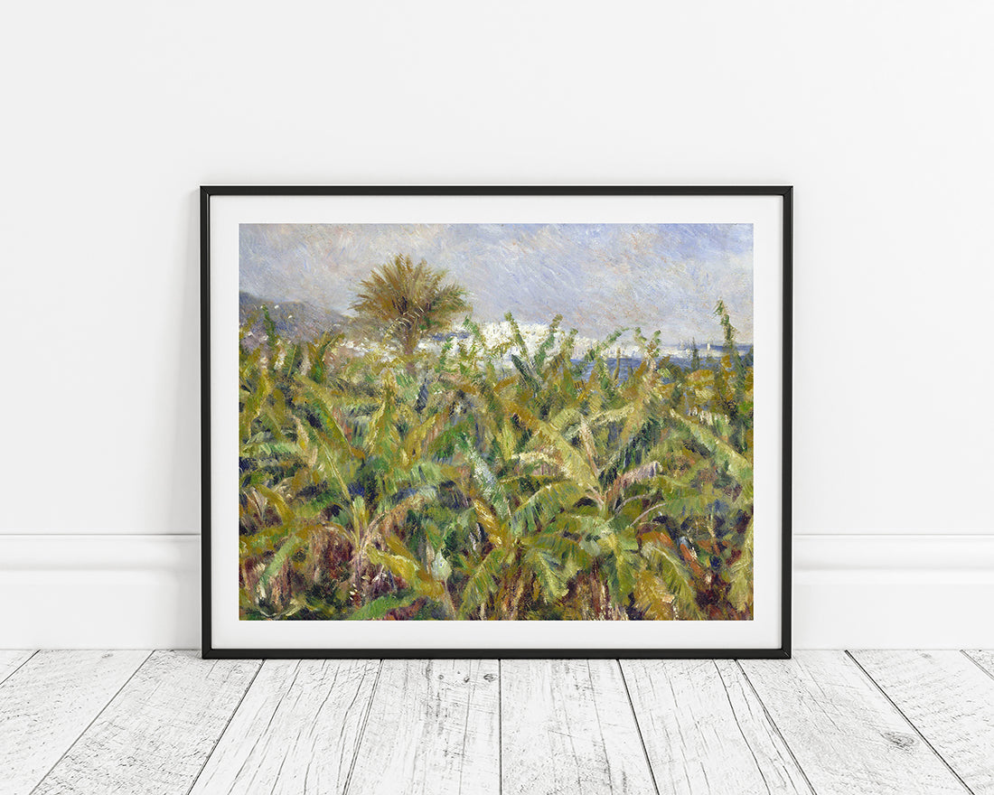 Pierre-Auguste Renoir - Feld mit Bananenbäumen