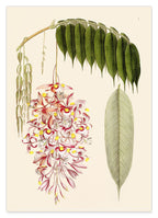 Zweig mit Blättern und Blüten