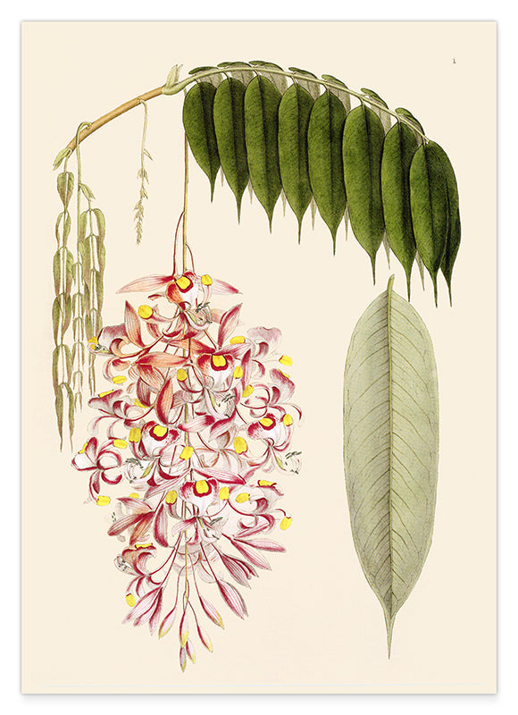 Zweig mit Blättern und Blüten Hover Image